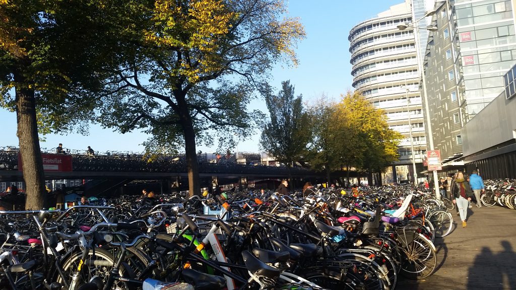 Amsterdam Bikes Galore