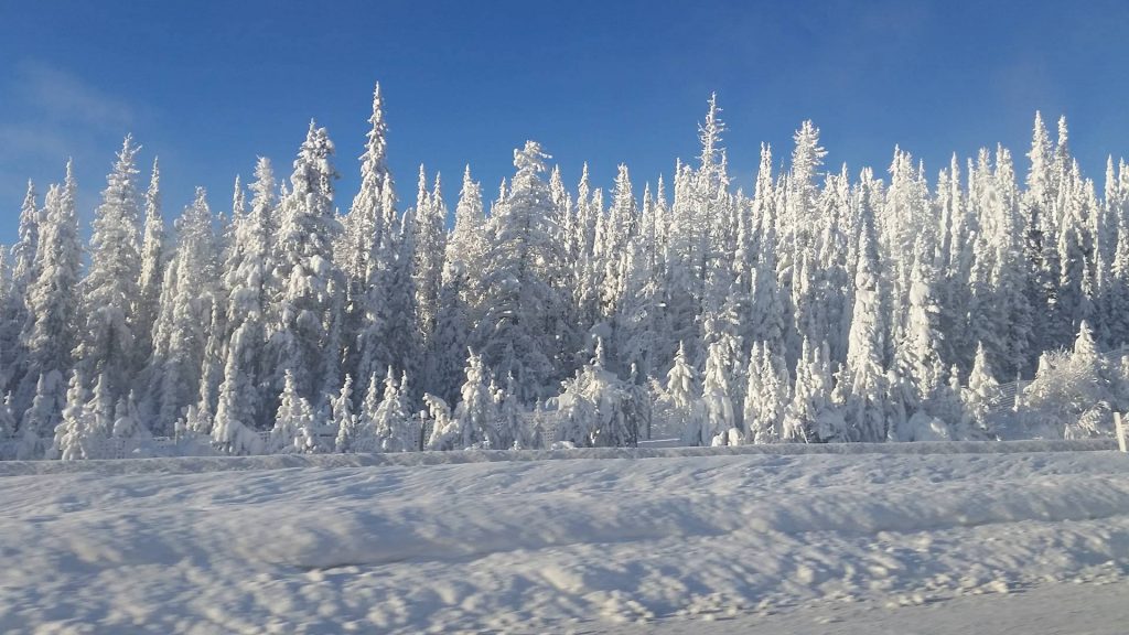 Driving the Coquihalla in Winter 