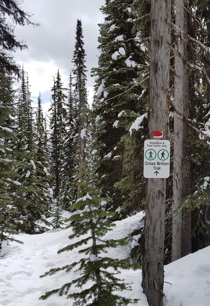 Showshoe trails at Big White