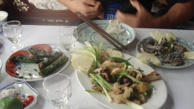 The Craziest Thing To Eat in Hanoi: A visit to Le Mat, Hanoi's Snake Village, where snake is featured on every plate!