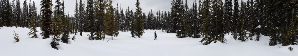 Snowshoeing at Big White Panorama