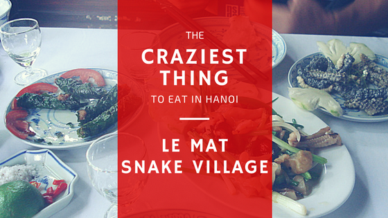 The Craziest Thing To Eat in Hanoi: A visit to Le Mat, Hanoi's Snake Village, where snake is featured on every plate!