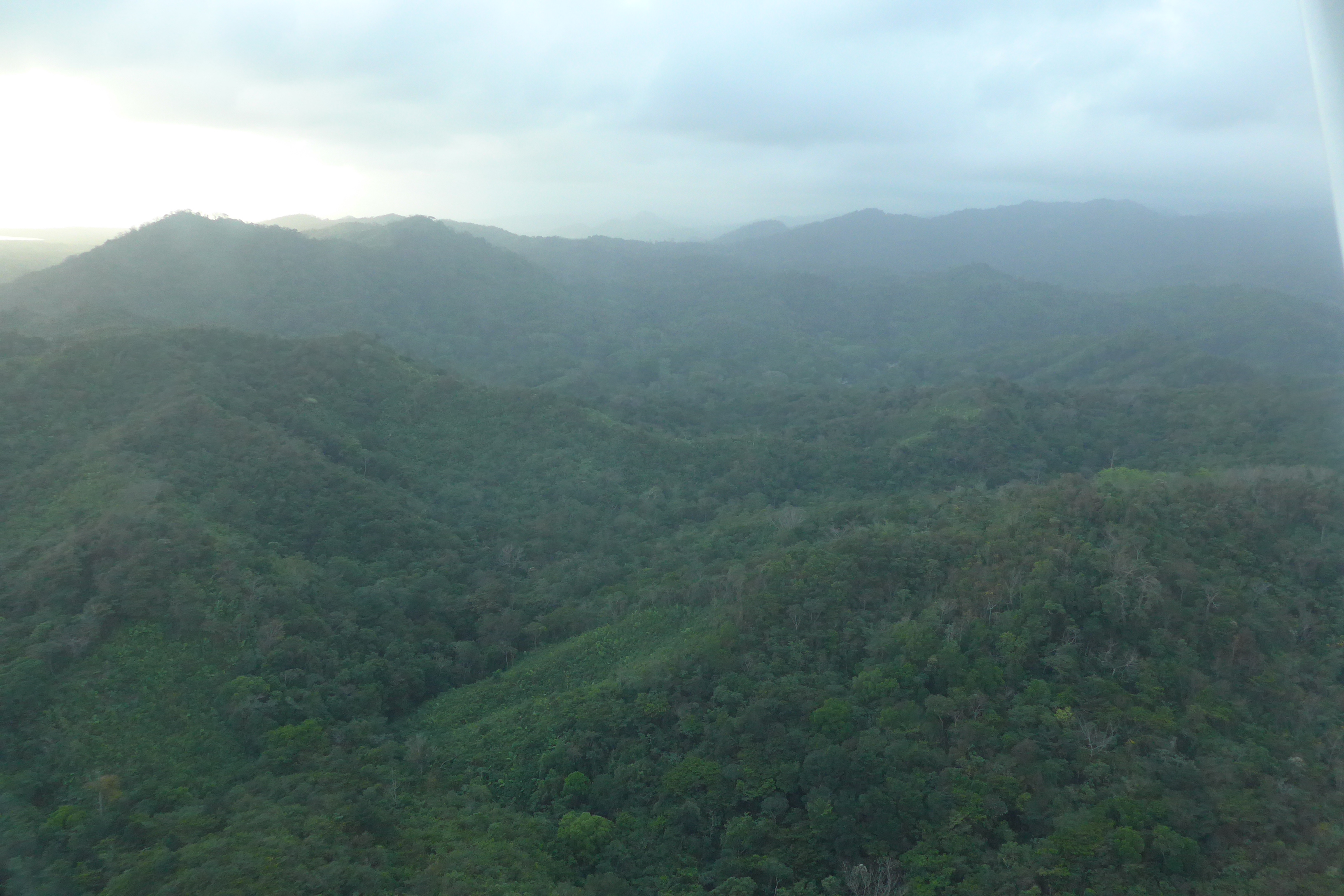 Rainforest during Air Panama flight