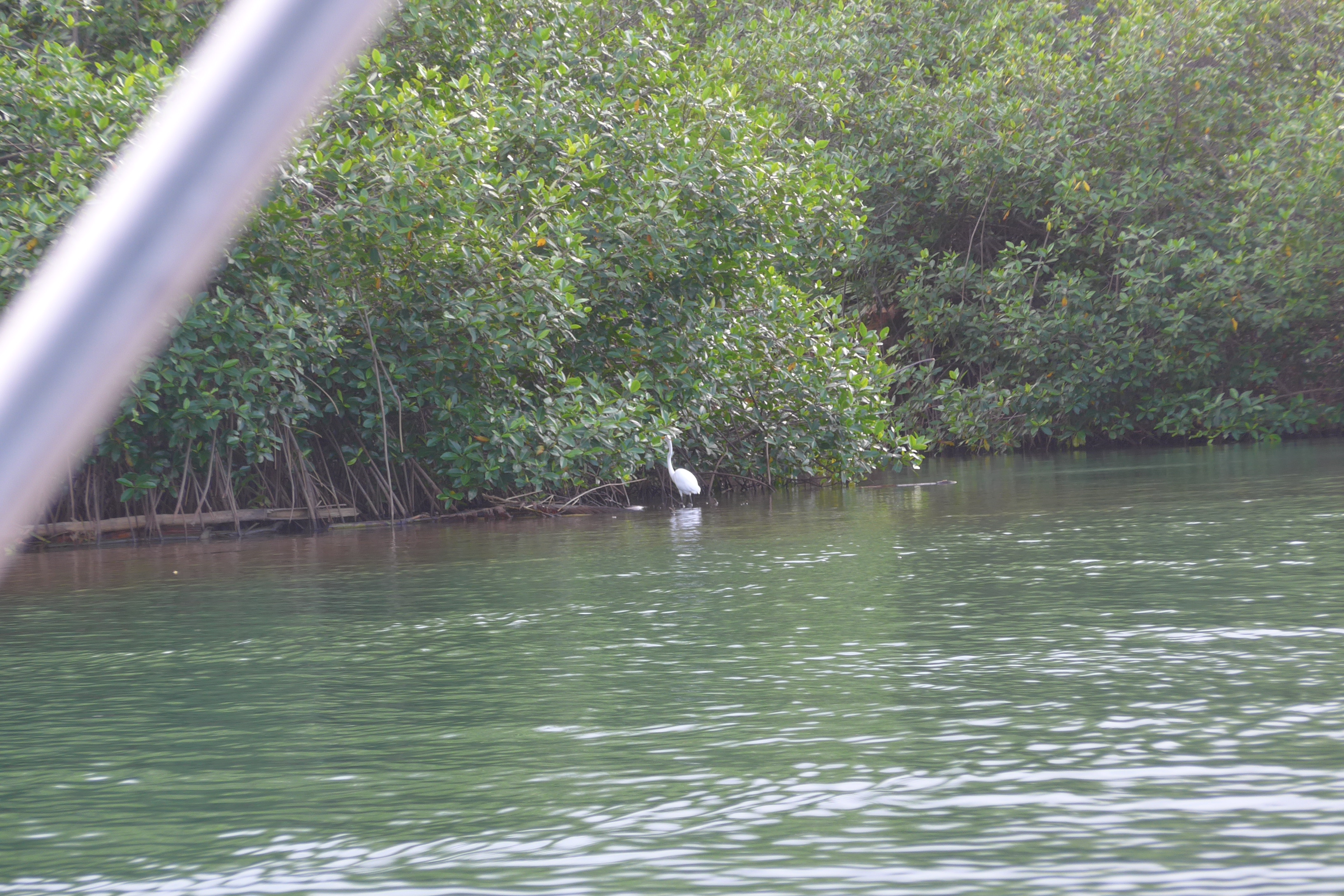 River tour in Guna Yala