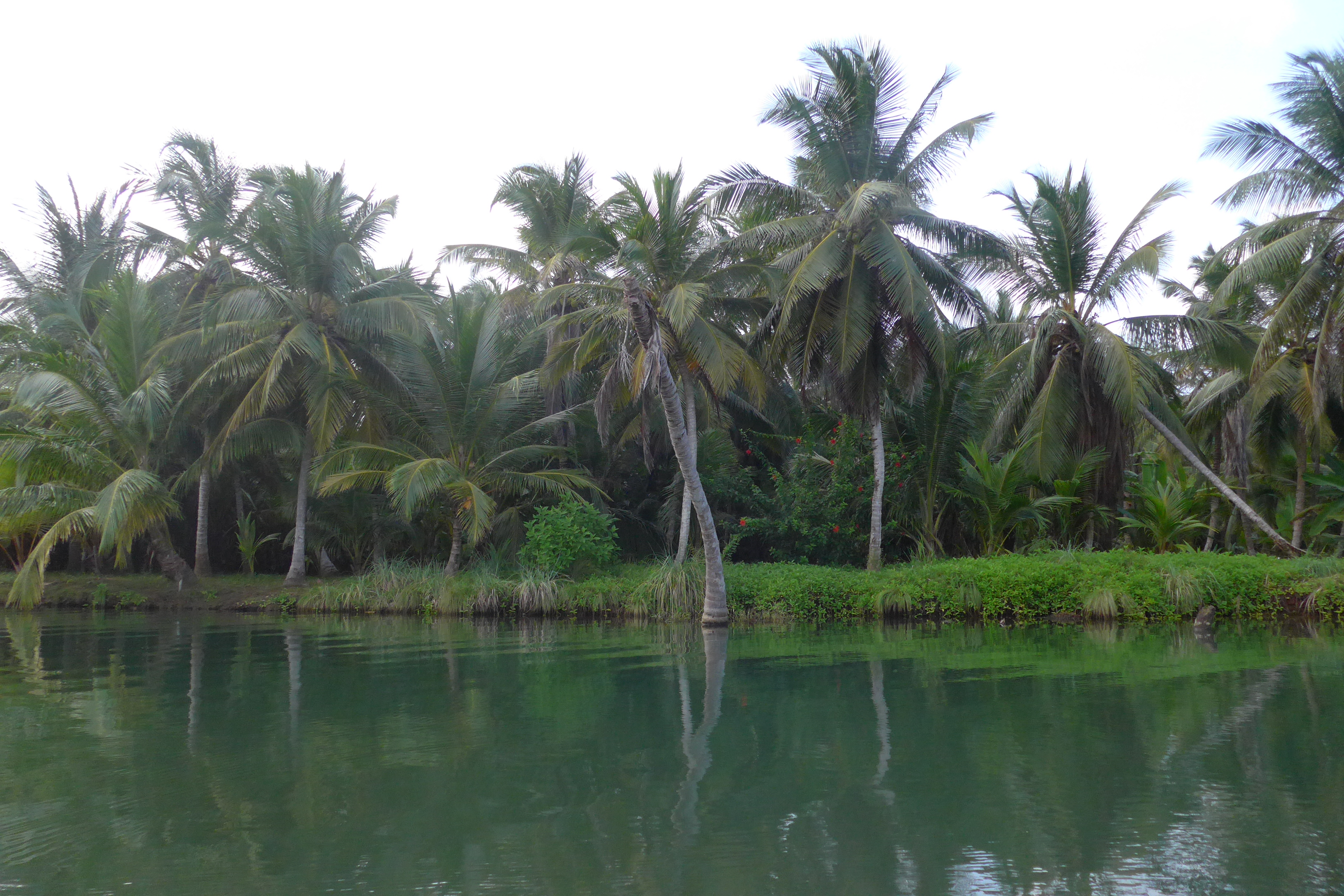 River tour in guna yala