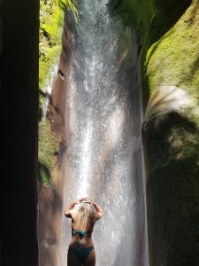 Sombrio Beach Waterfall