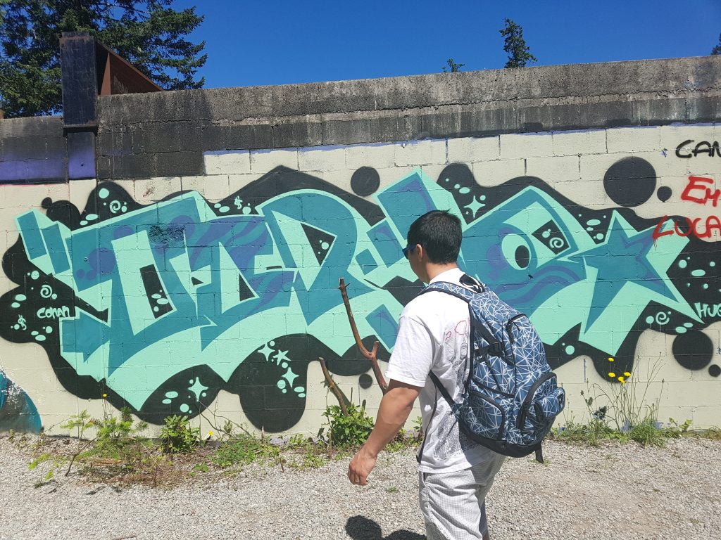 Sooke Potholes Graffiti