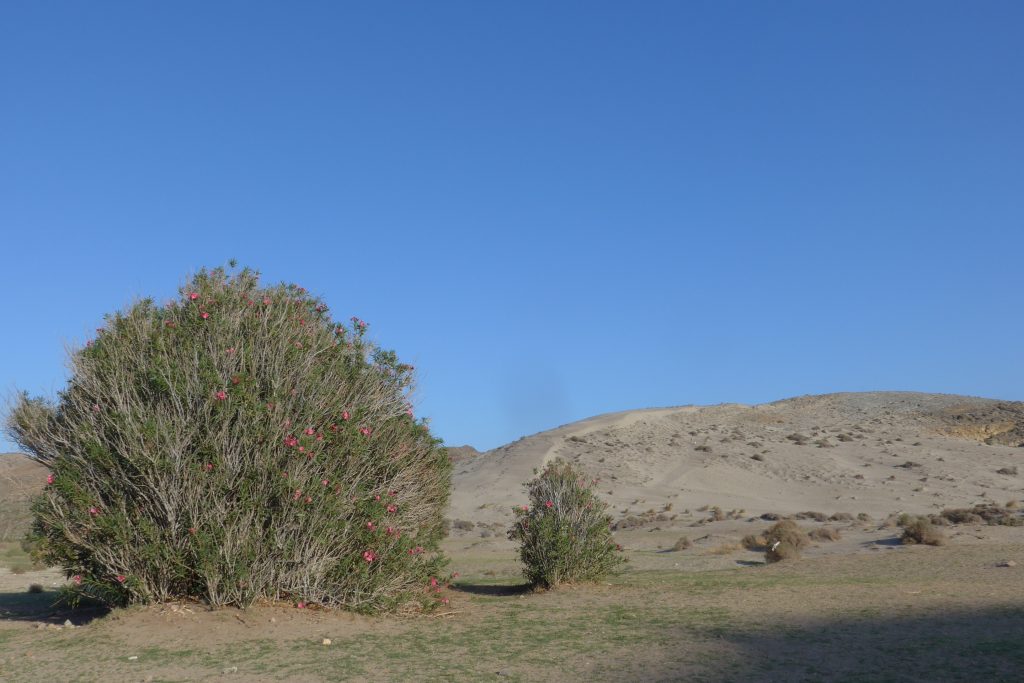 Desert like surroundings at Playa Monsul in San Jose, Spain