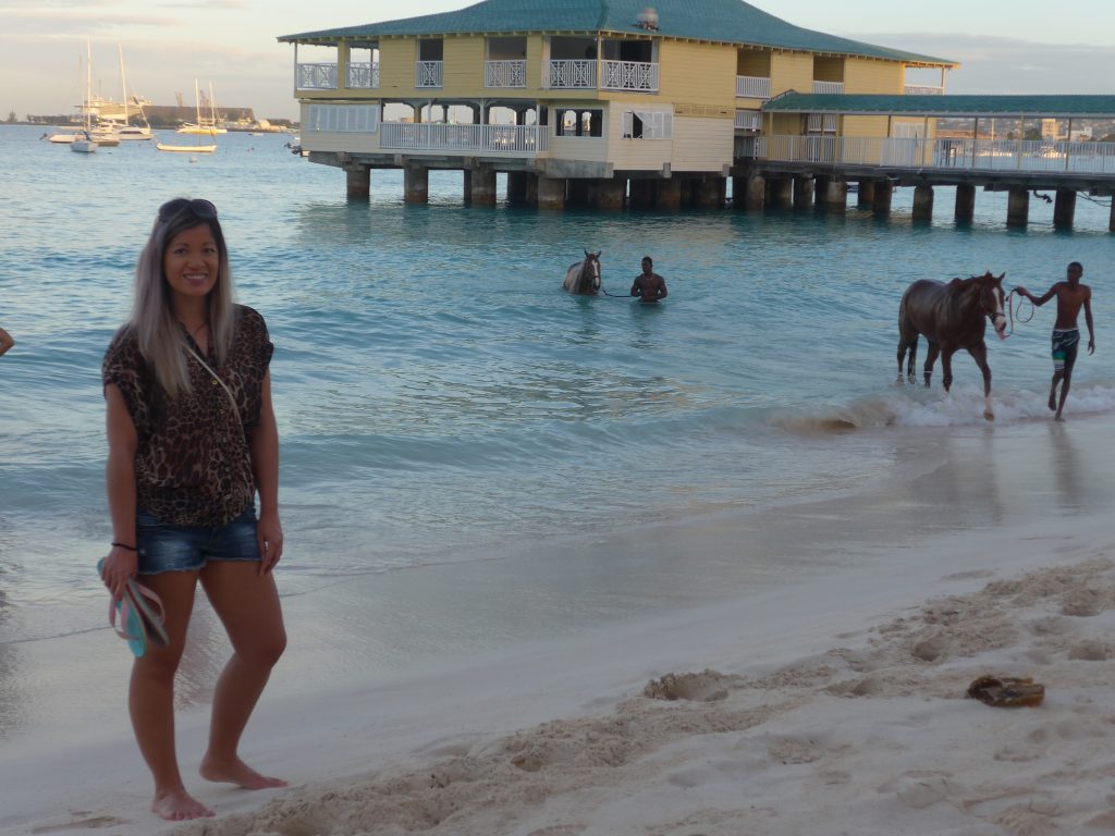 Horses Swimming at Pebbles Beach