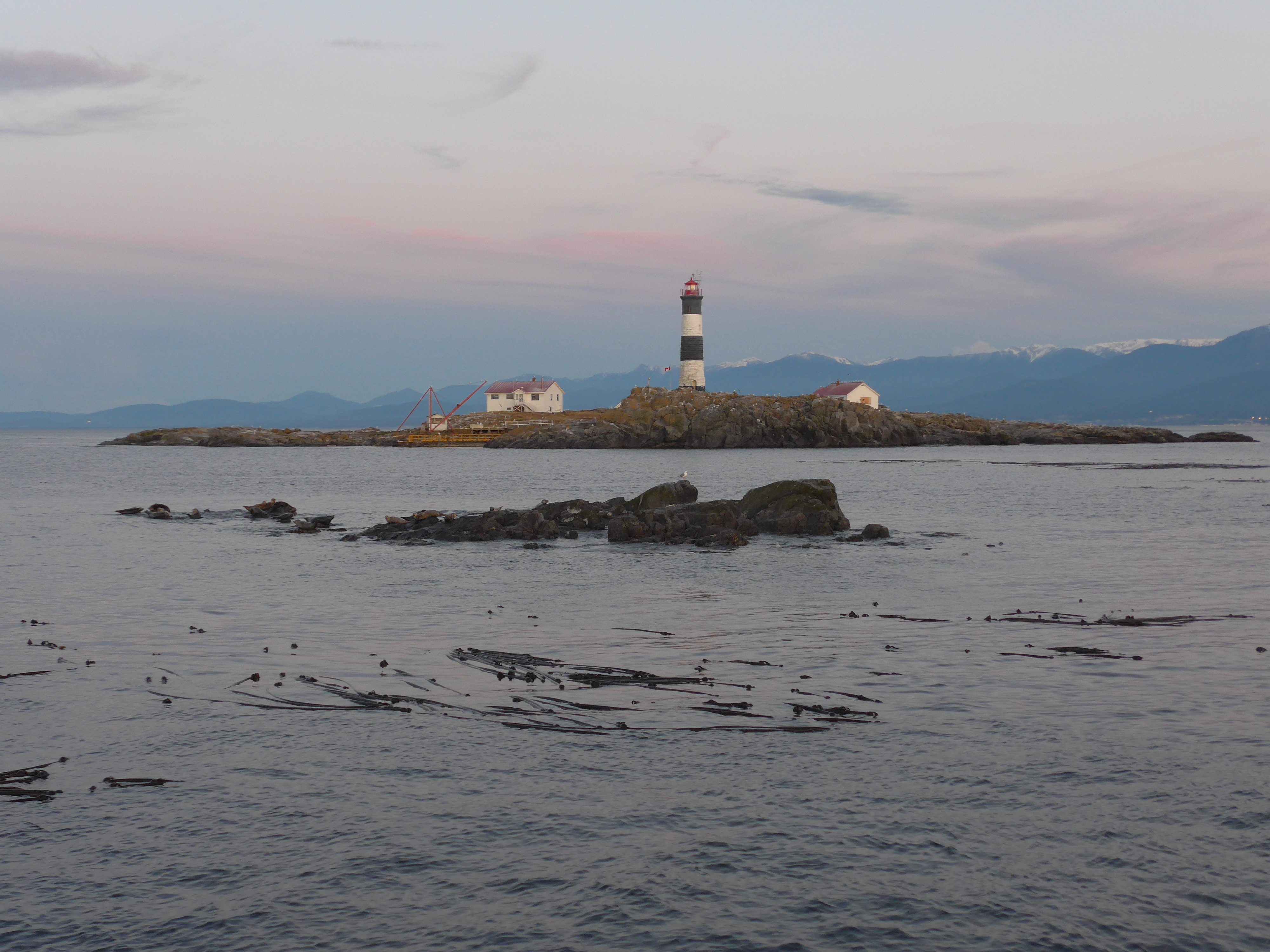 Whale Watching Race Rocks