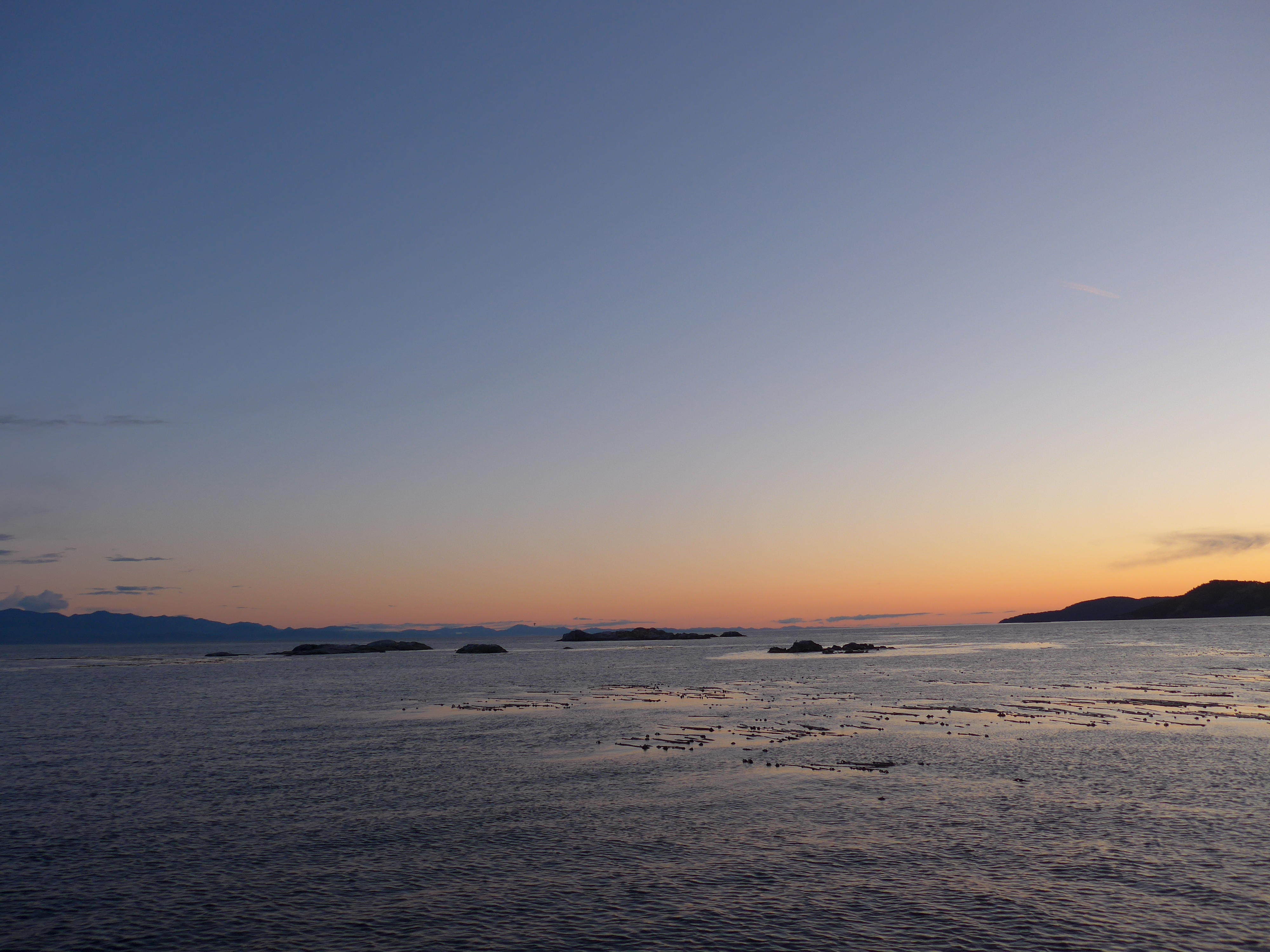 Whale Watching Sunset Tour