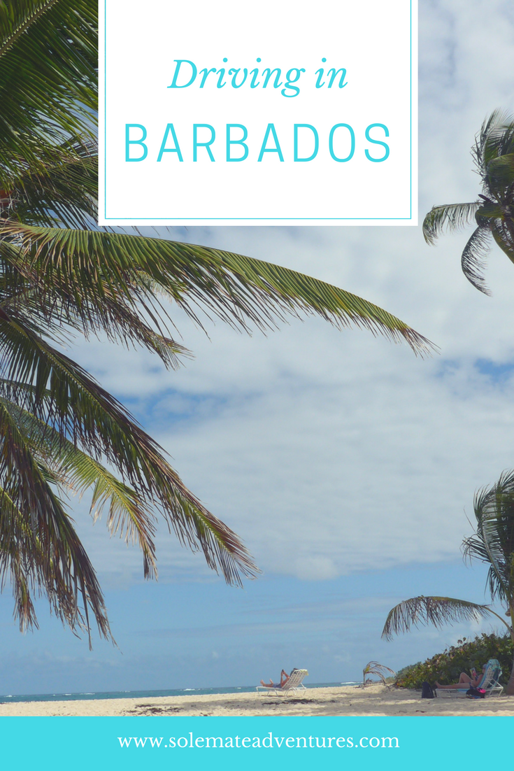 Renting a car in Barbados is the best way to explore off the beaten track! Even if you haven't driven on the left-side of the road before, not to worry.