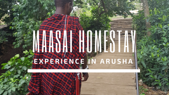 Staying with a local family is one of the best ways to get an authentic cultural experience. Staying with a Maasai family we were able to learn first-hand about their life and culture