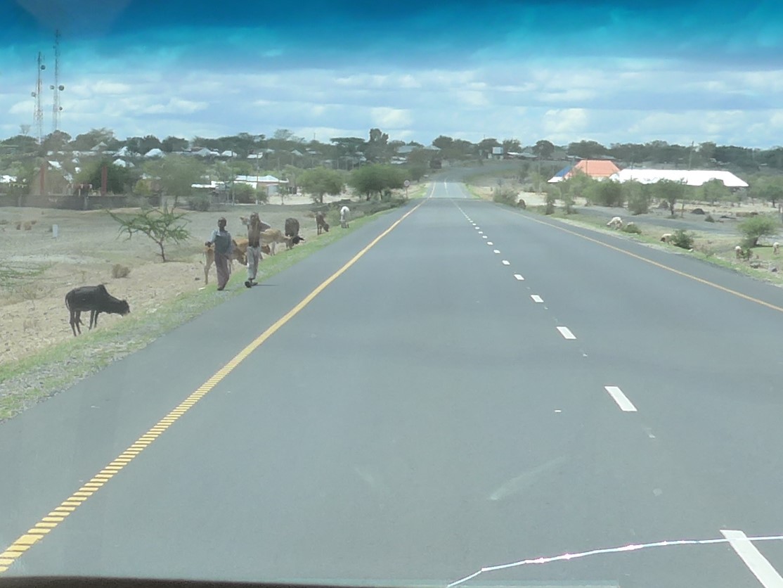 Maasai children on side of road