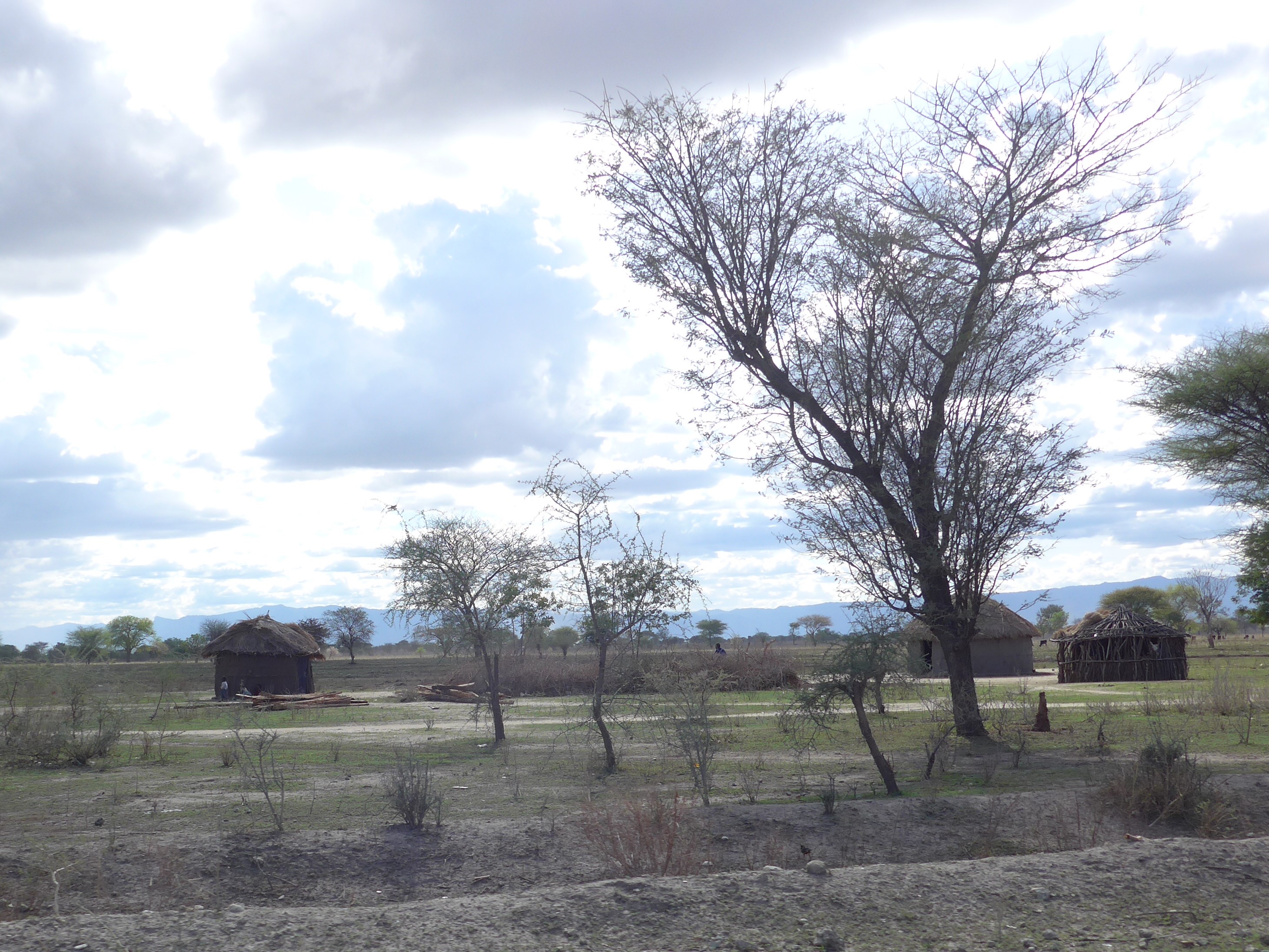 Maasai huts