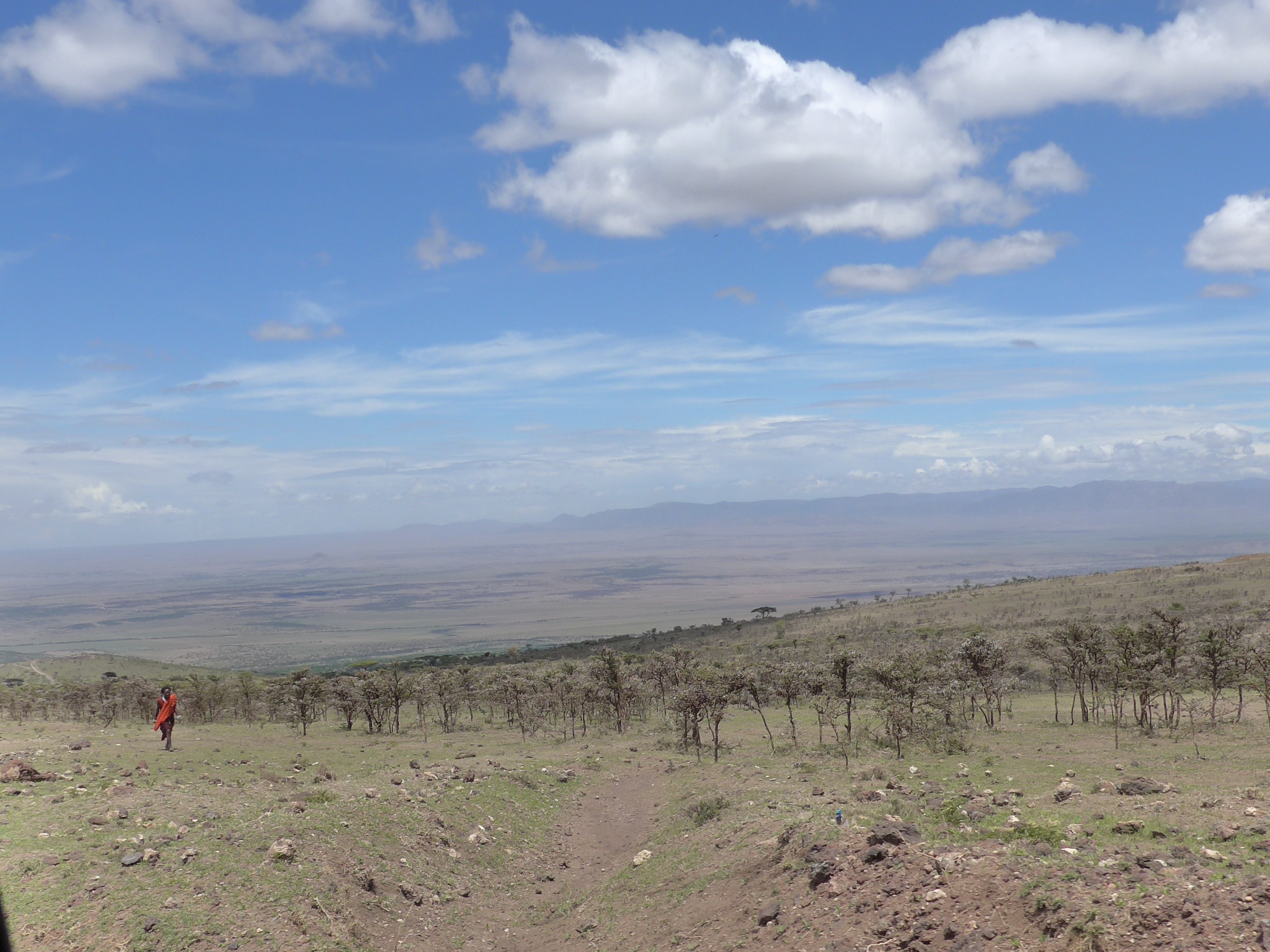 Maasai in Ngorongoro