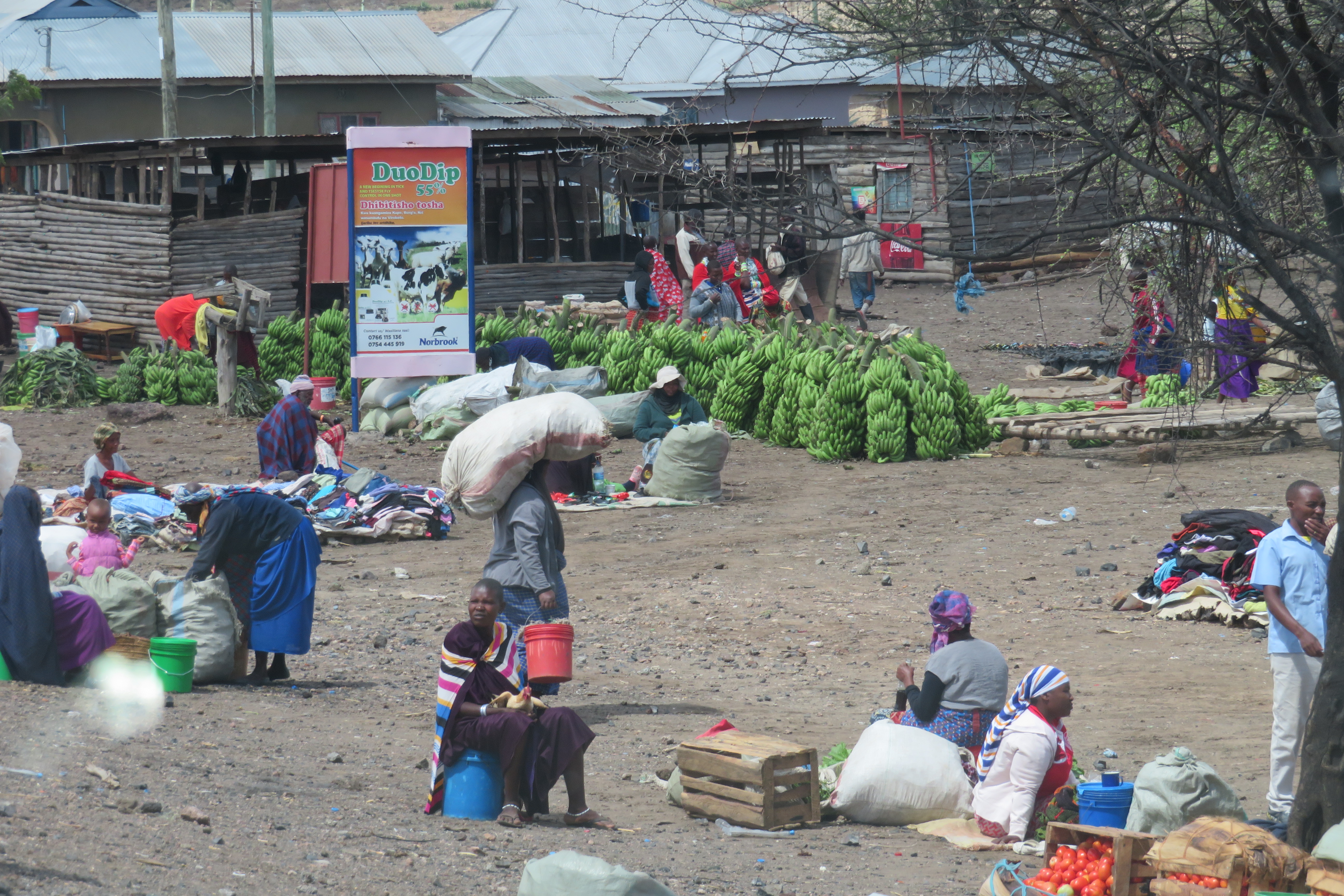 Maasai market 