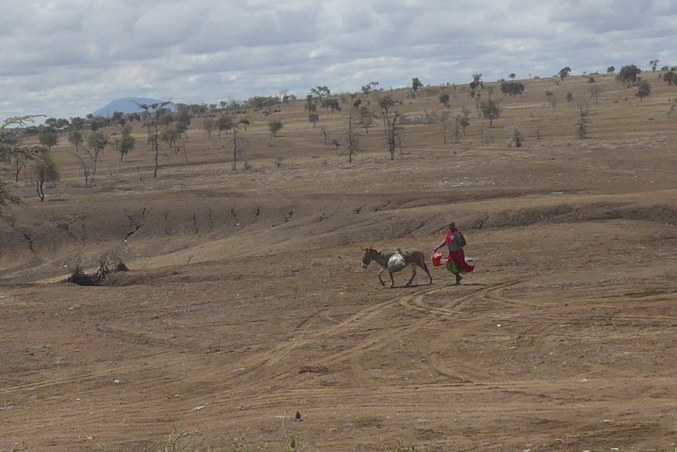 Maasai with donkey fetching water