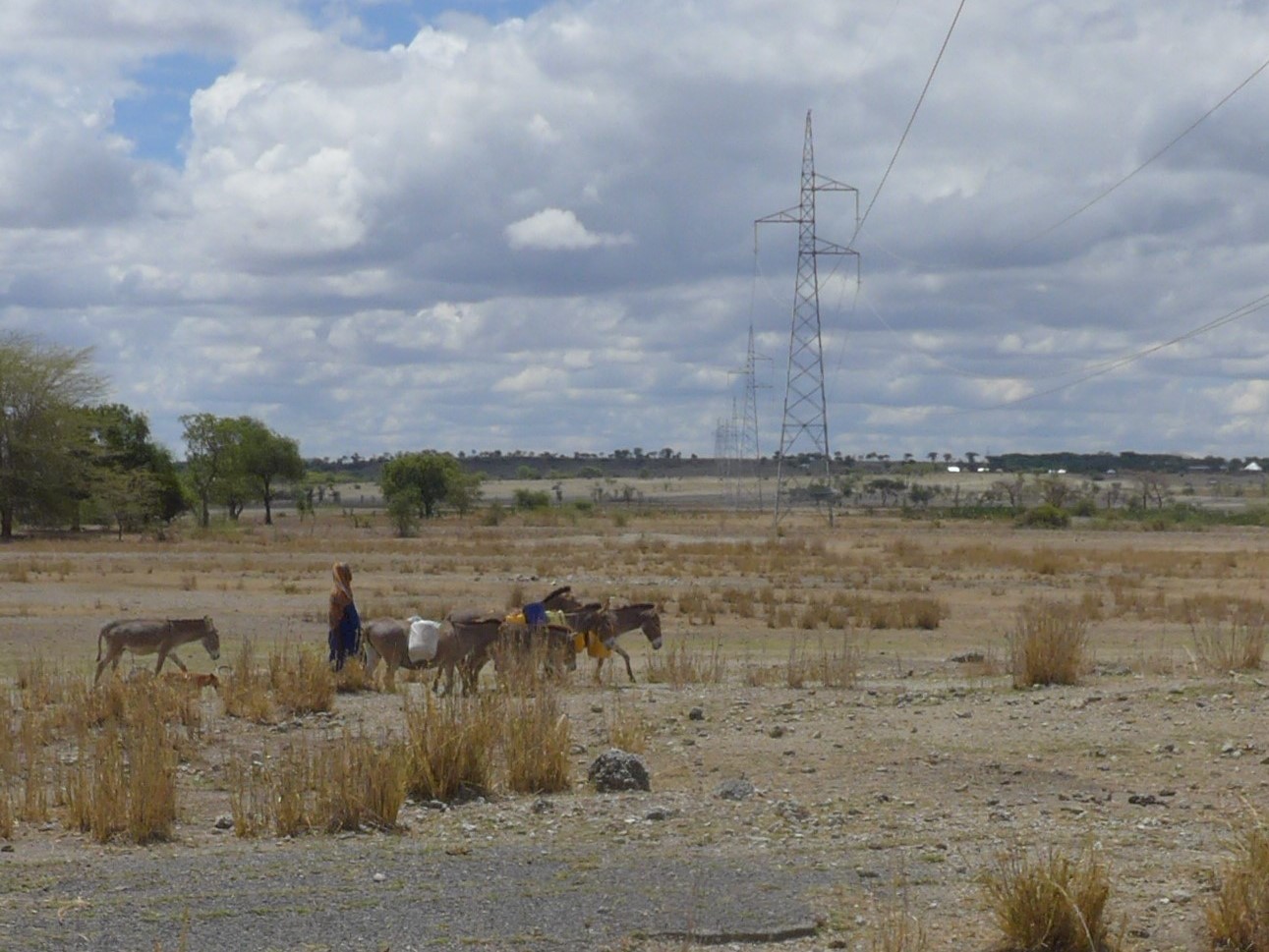 Maasai with donkeys