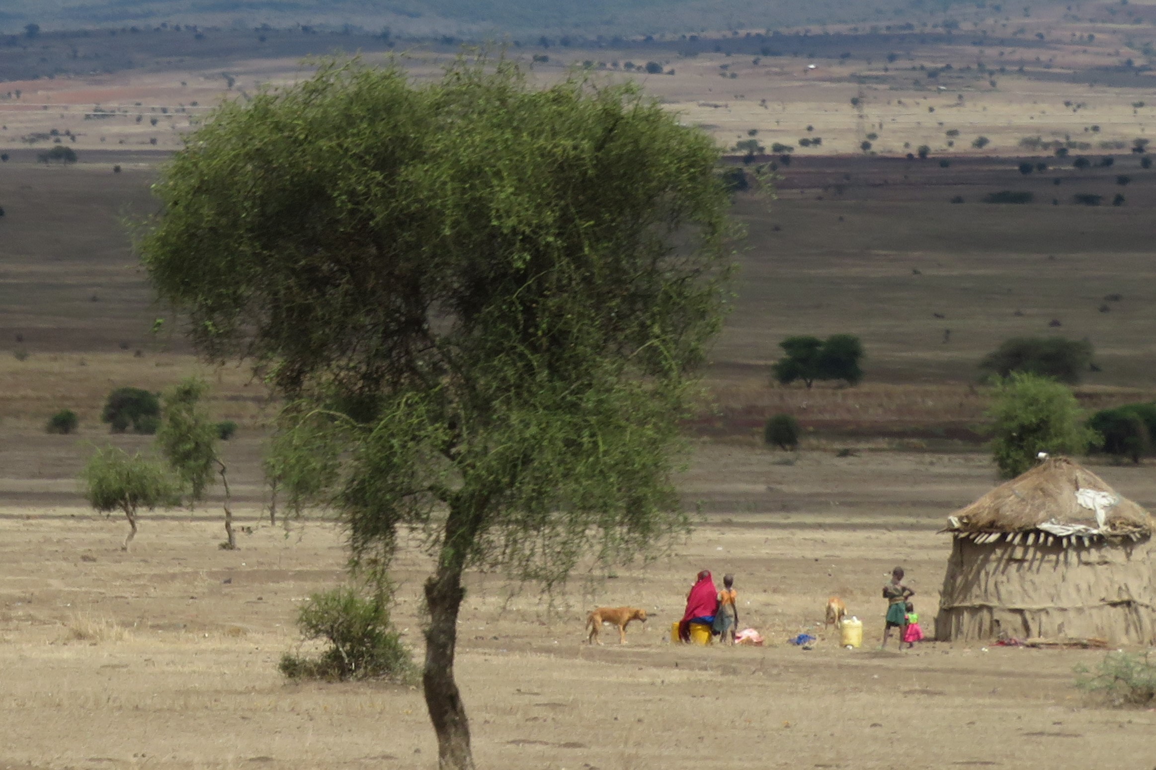 Maasai women and children