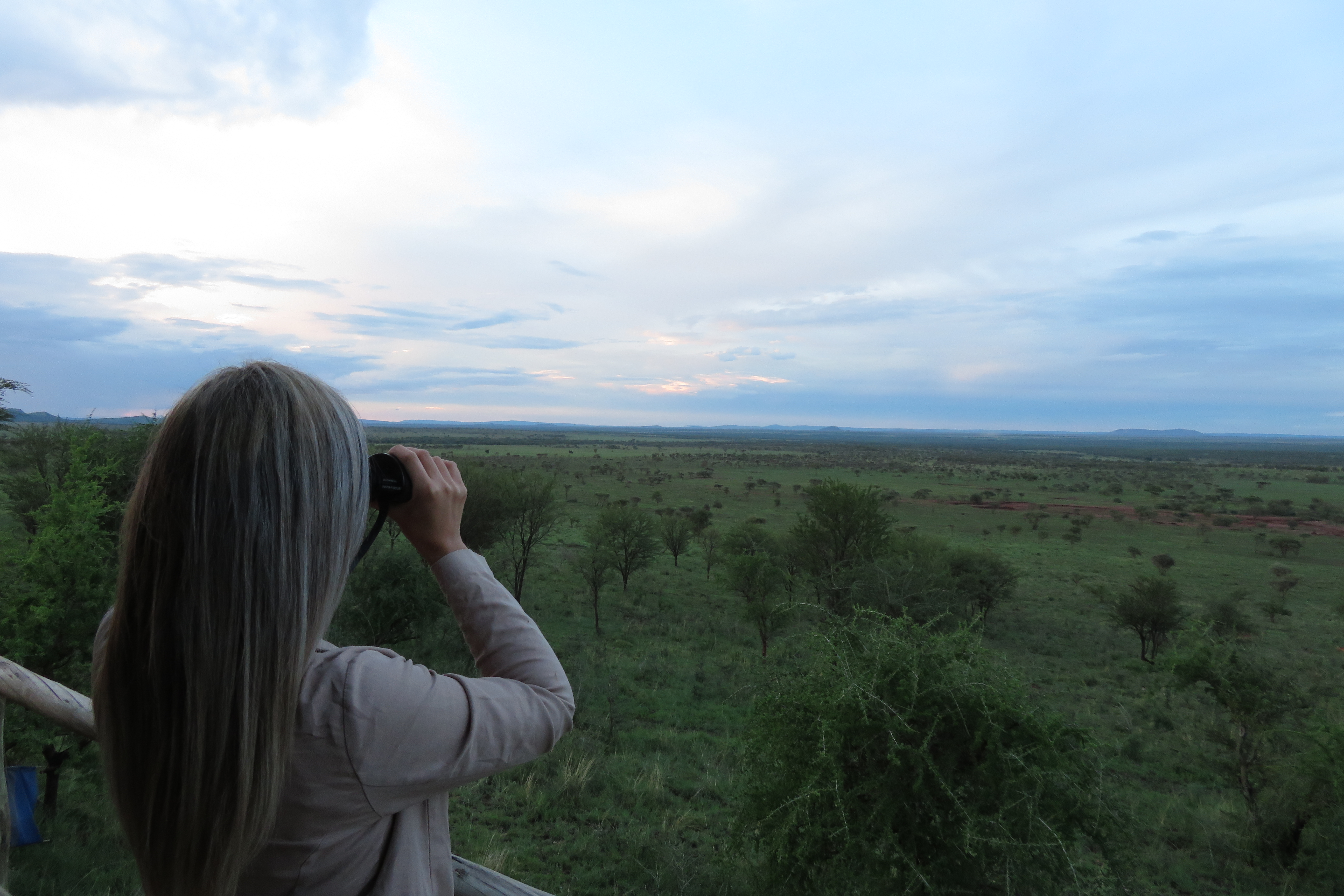 Kubu Kubu Binoculars