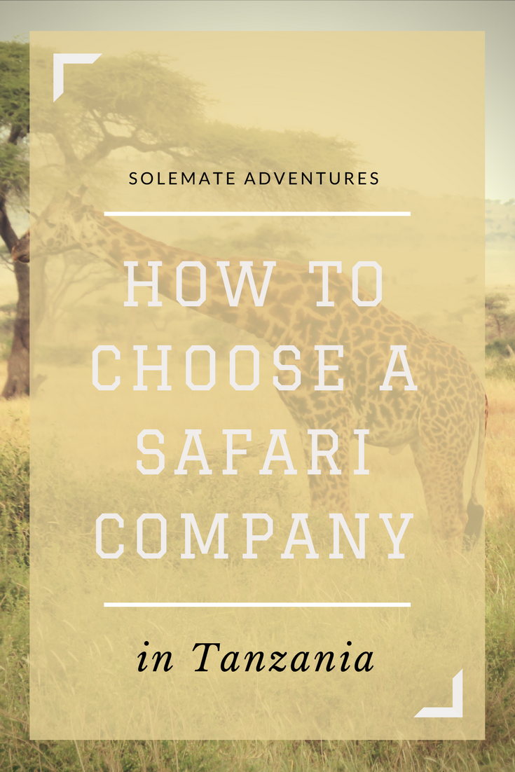 If you are planning a safari in Tanzania, a quick Google search will surely leave you feeling overwhelmed. Researching and deciding on companies was very time-consuming so I'm sharing my top tips on how to book a safari to save you some time!