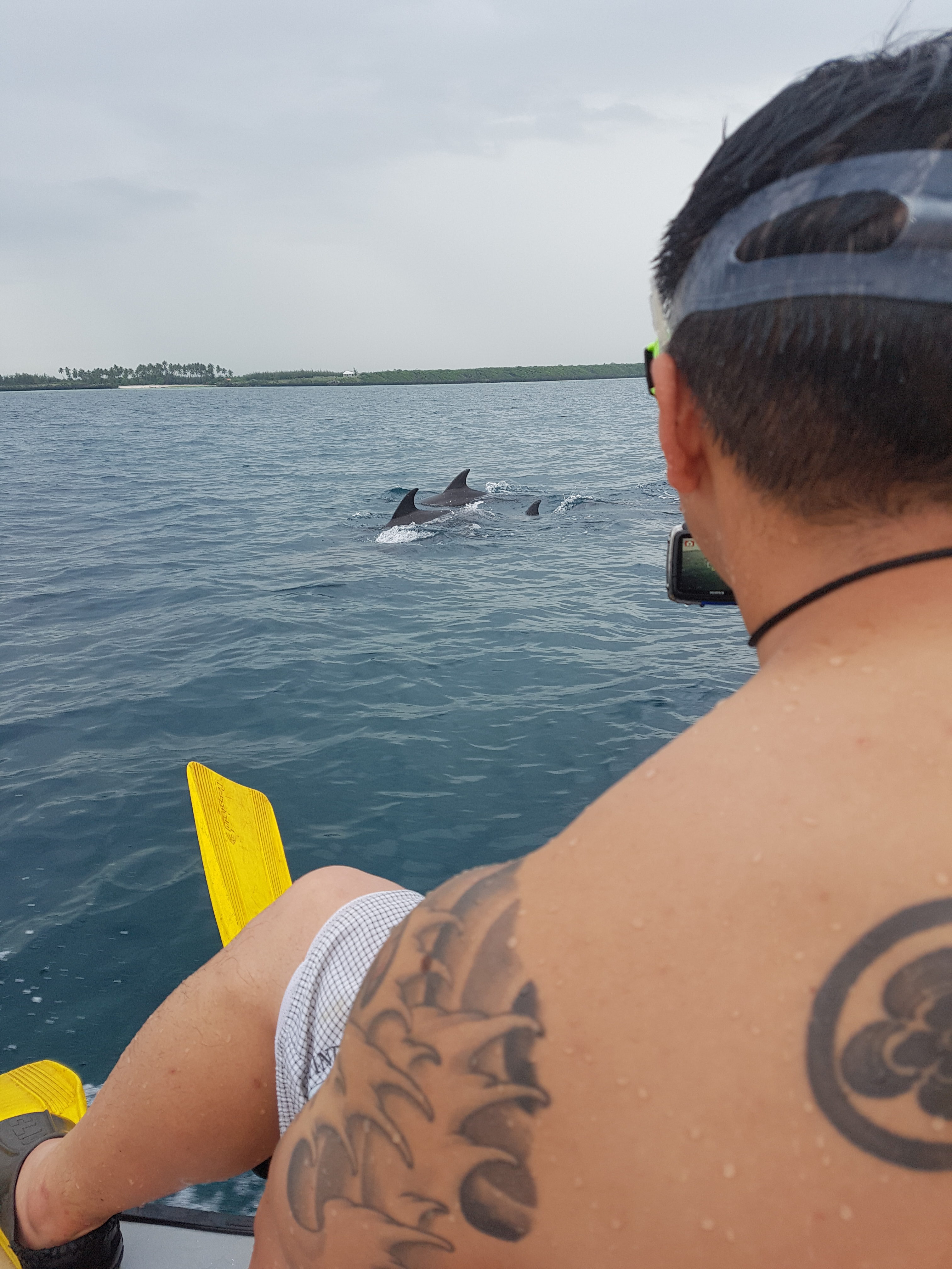 Swimming with Dolphins in Zanzibar