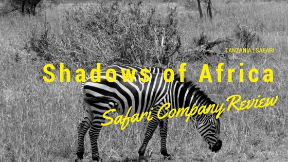 Shadows of Africa was the safari company we used for our recent trip to Tanzania. For the average traveler, going on a safari is a major life trip and choosing the right safari company is very important. We highly recommend Shadows of Africa and here's why.