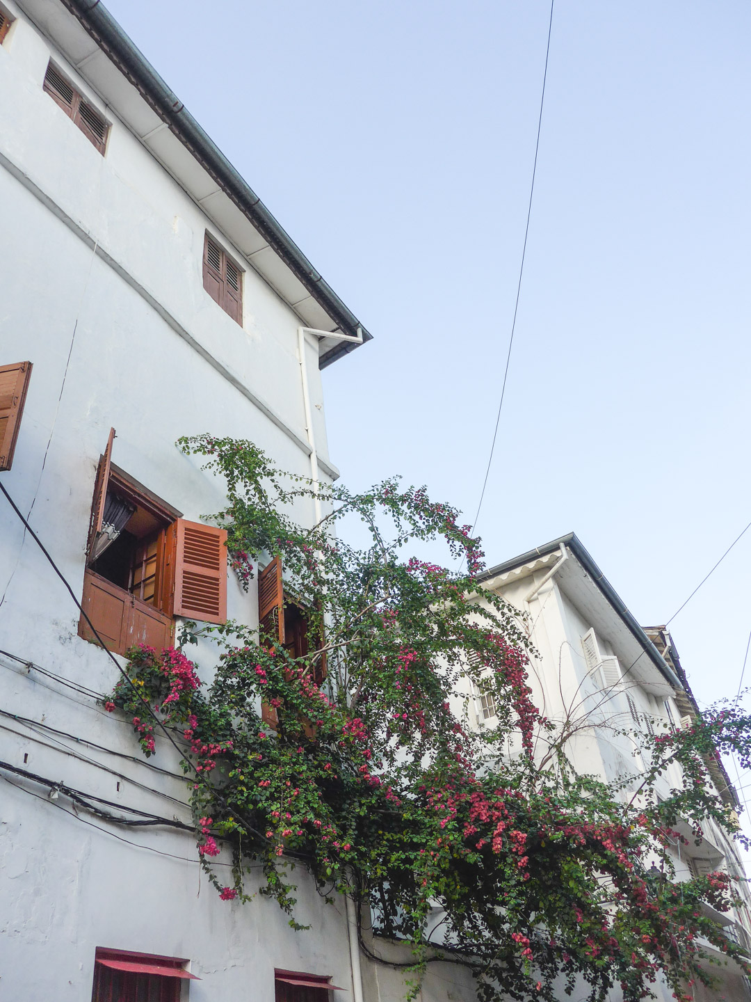 Stone Town Architecture