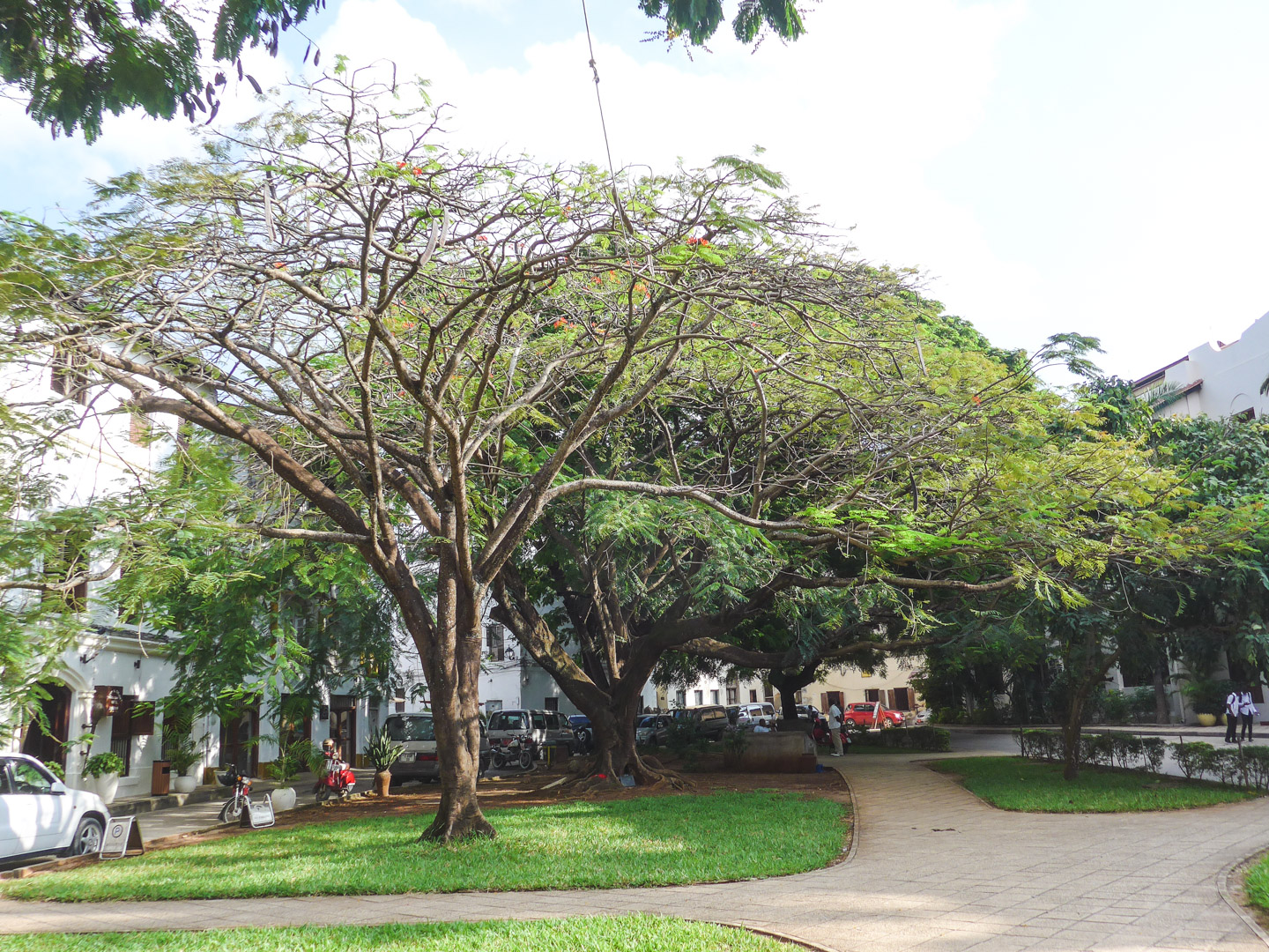 Stone Town Kelele Square