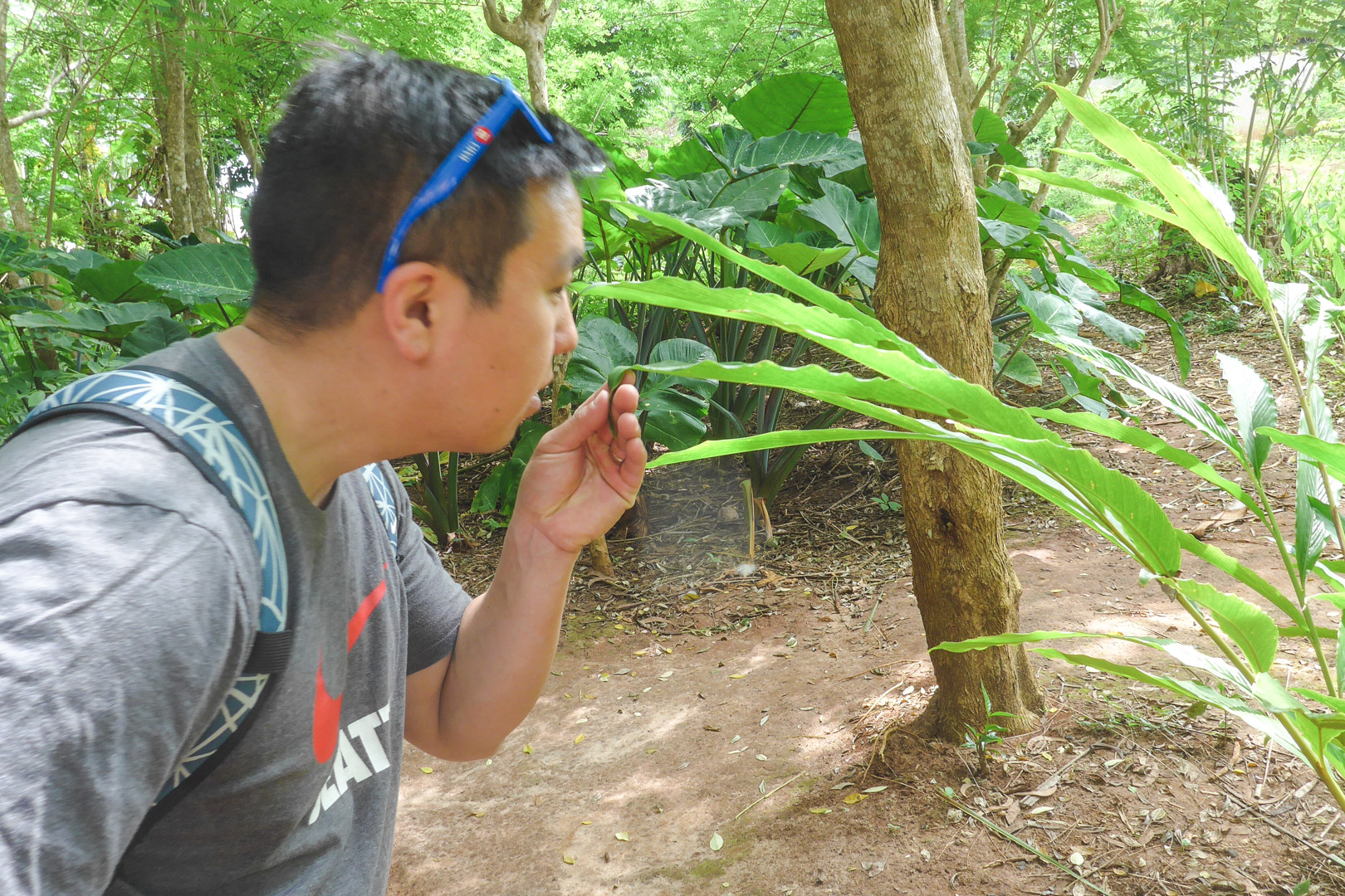 Stone Town Spice Tour Smelling