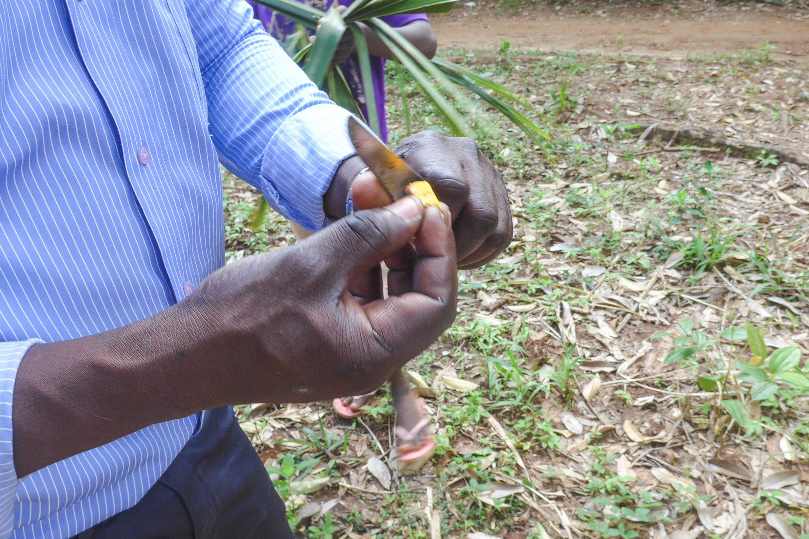 Stone Town Spice Tour Turmeric