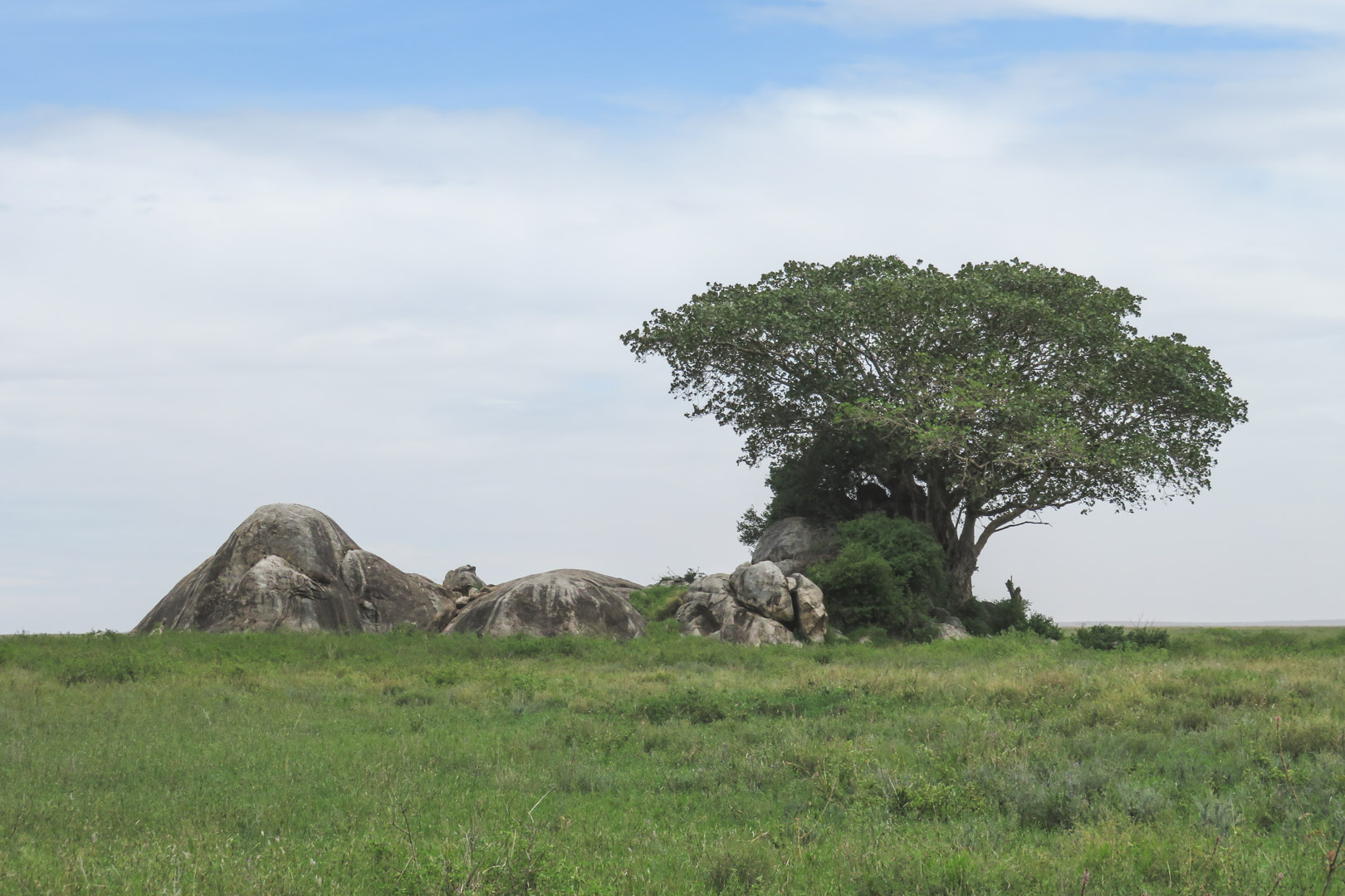 Tanzania Safari Itinerary Serengeti Kopjes