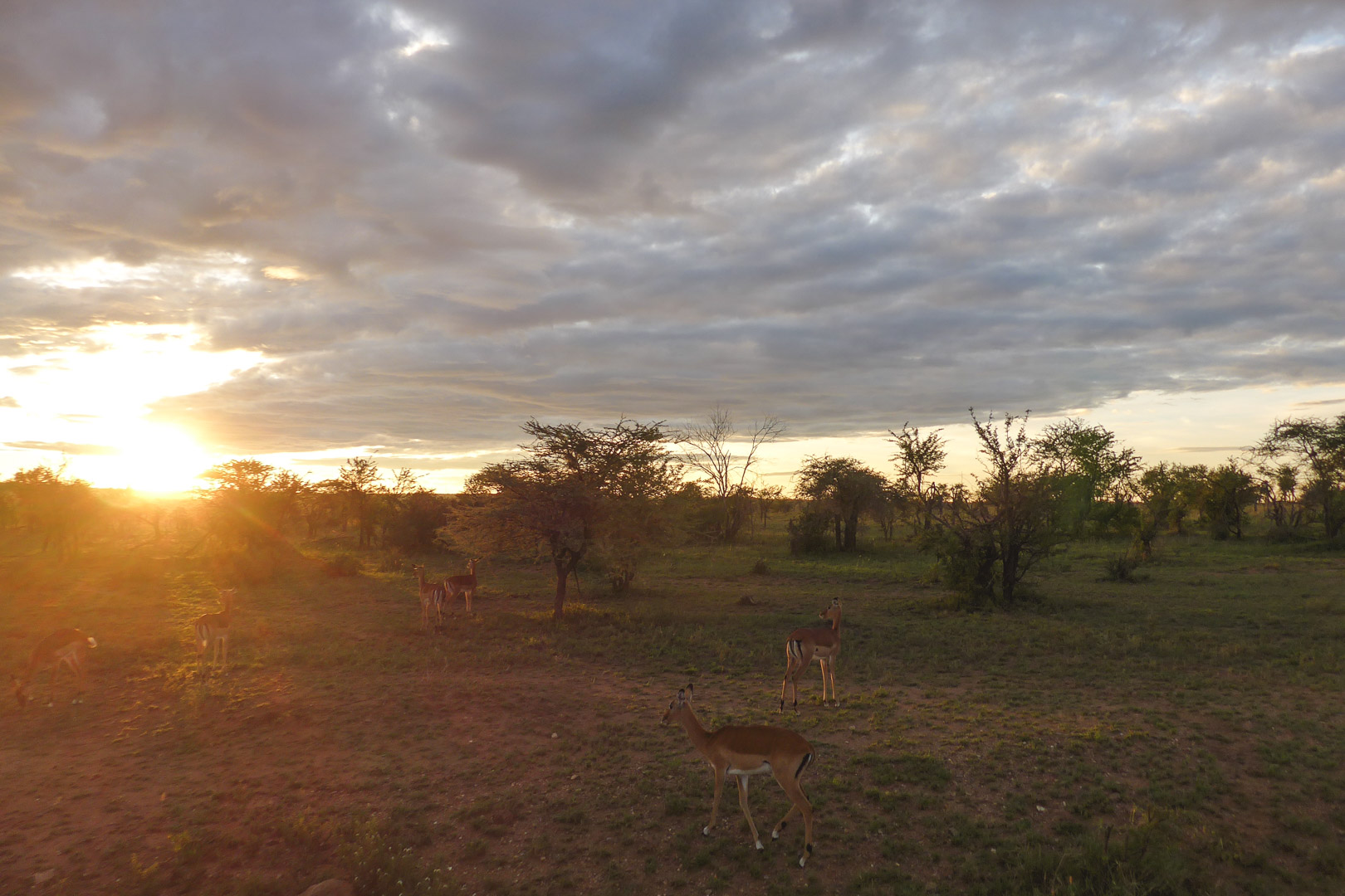 Tanzania Safari Itinerary Serengeti Sunrise