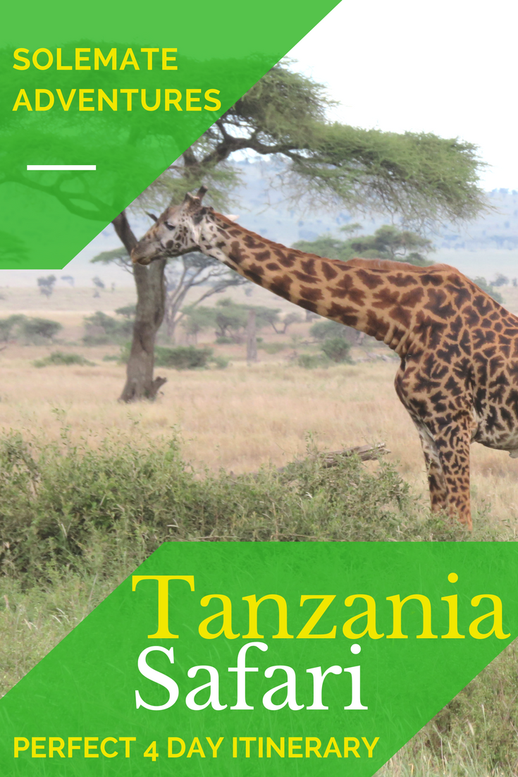 Visiting Tanzania and want to see the major parks and Big 5 but are short on time? No worries! We have the perfect 4 day Tanzania Safari itinerary for you.