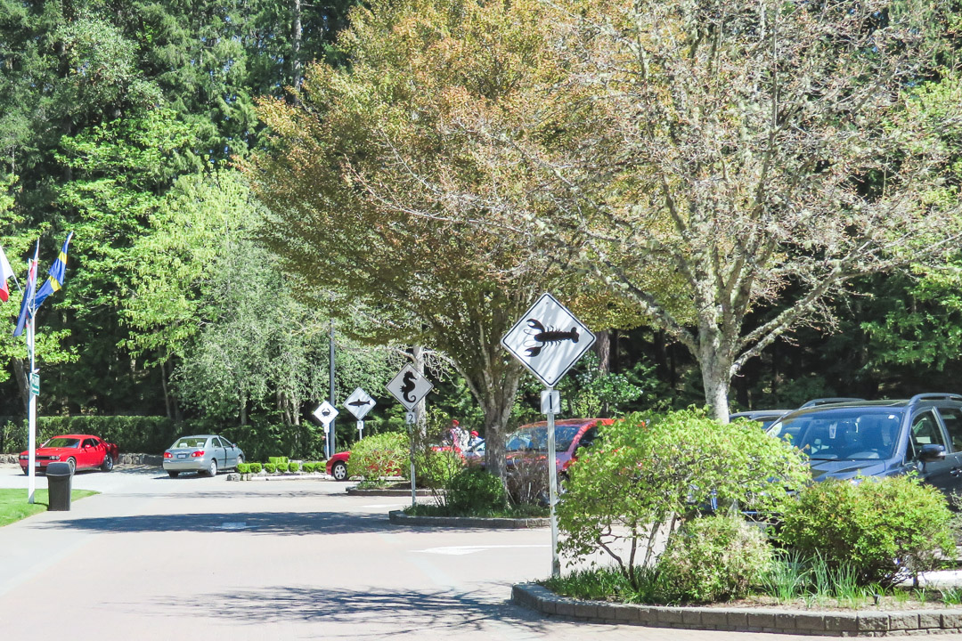 Butchart Gardens Parking