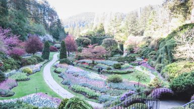 Visiting Butchart Gardens Sunken Garden