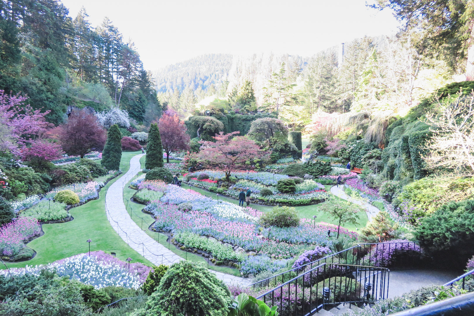 Visiting Butchart Gardens Sunken Garden