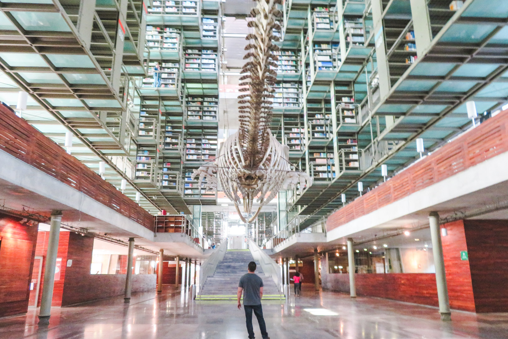 Mexico City Biblioteca Vasconcelos