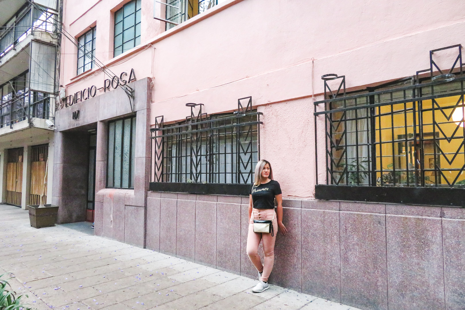 Mexico City Condesa Edificio Rosa