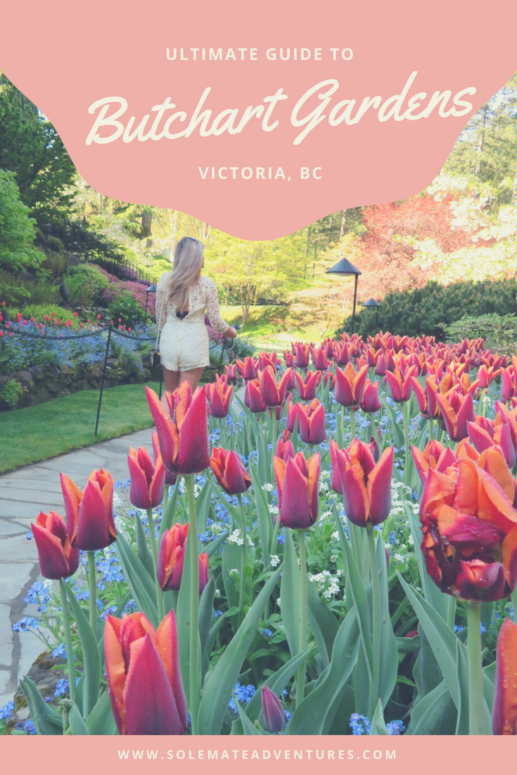 Your ultimate guide to visiting Butchart Gardens in Victoria, BC! How to get to Butchart Gardens, When to go, What to see and where to eat. 