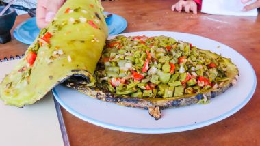 Eating Cactus at Restaurante El Oasis in Querétaro