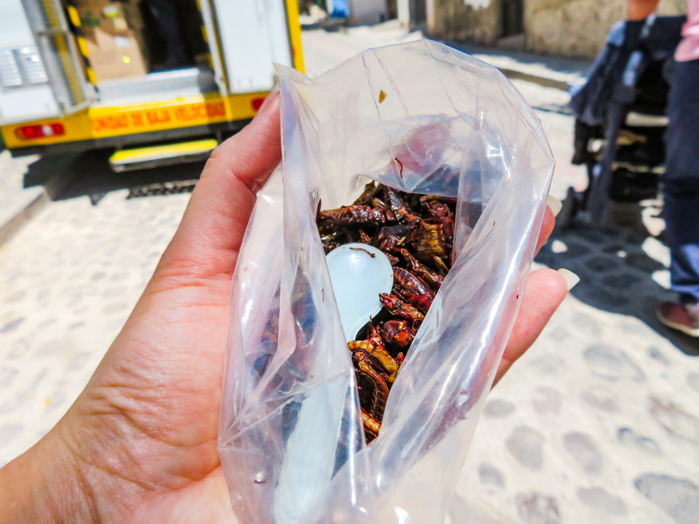 Querétaro Roasted Crickets