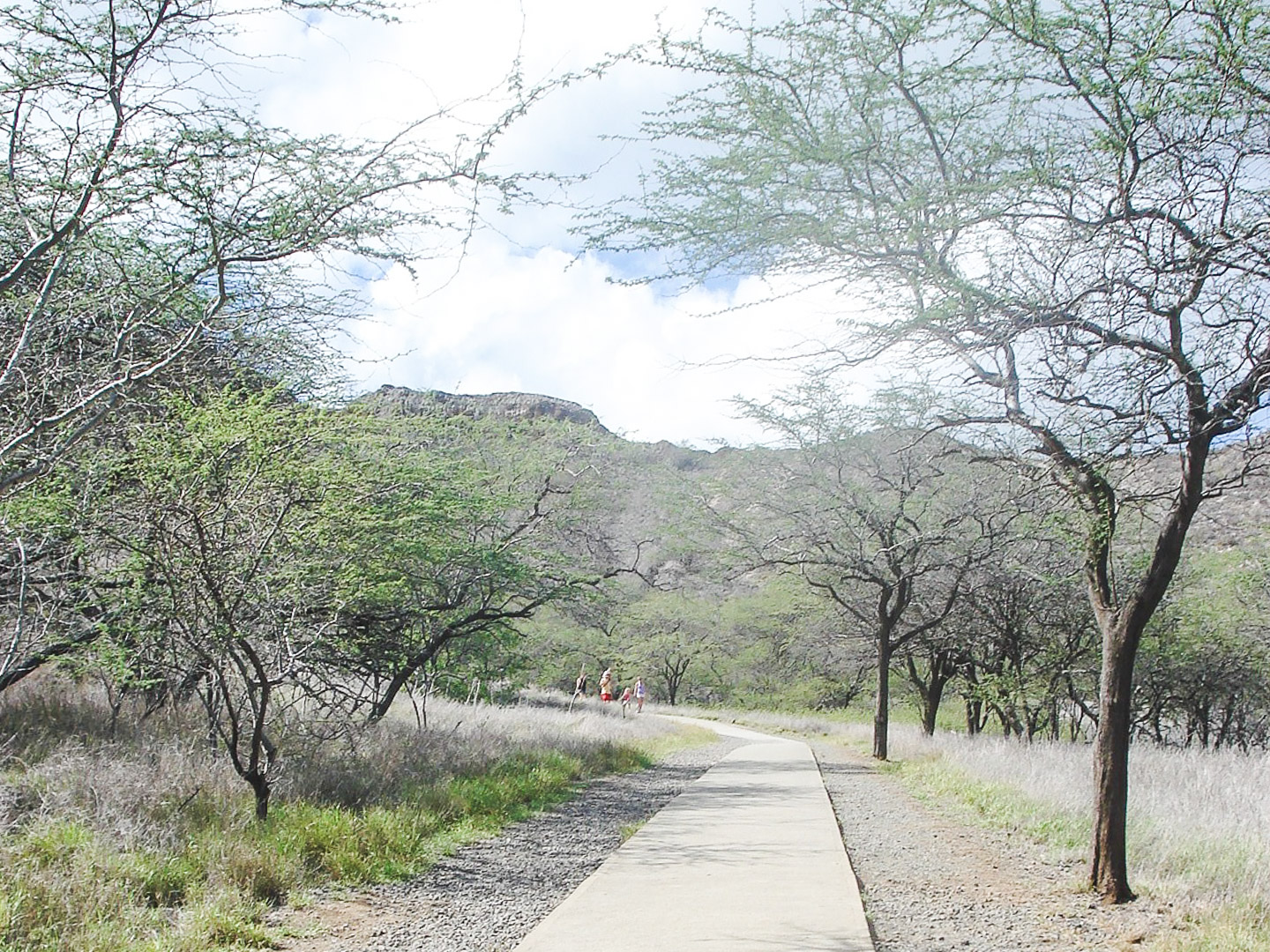 Diamond Head Waikiki Hike