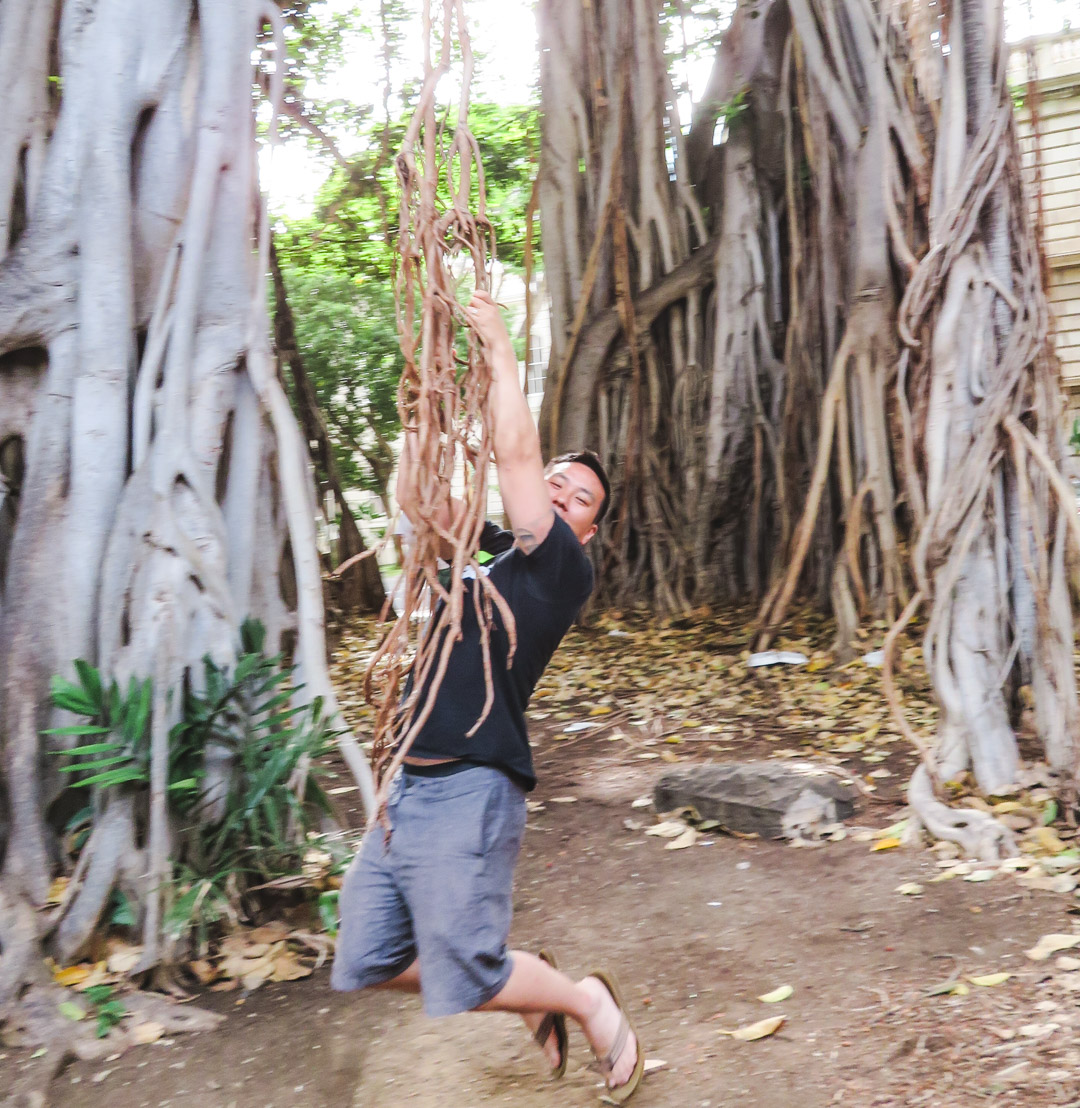 Oahu off the Beaten Path Banyan Tree Swing