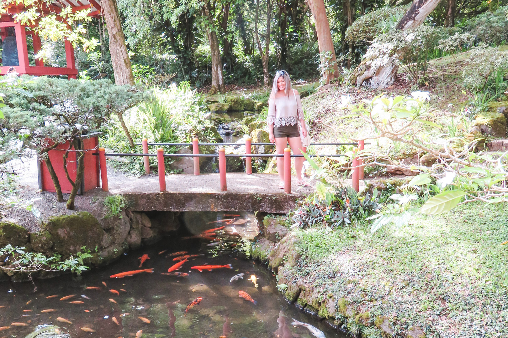 Oahu off the Beaten Path Byodo-In Temple Koi Fish