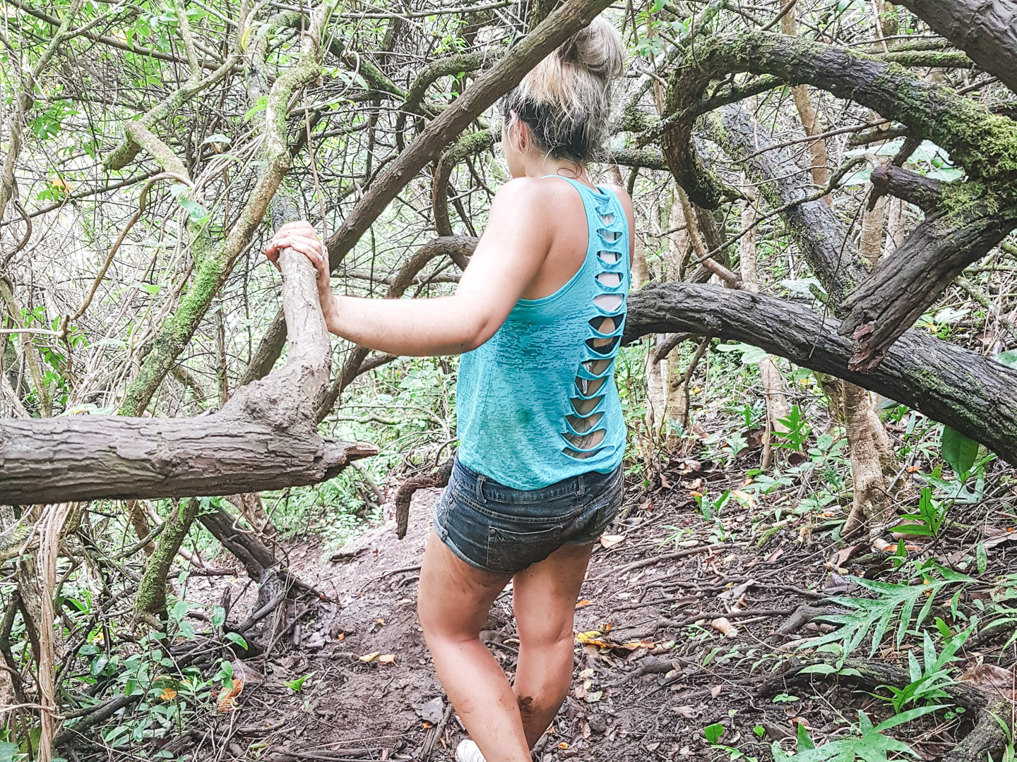 Oahu off the Beaten Path Crouching Lion Muddy Trail 2