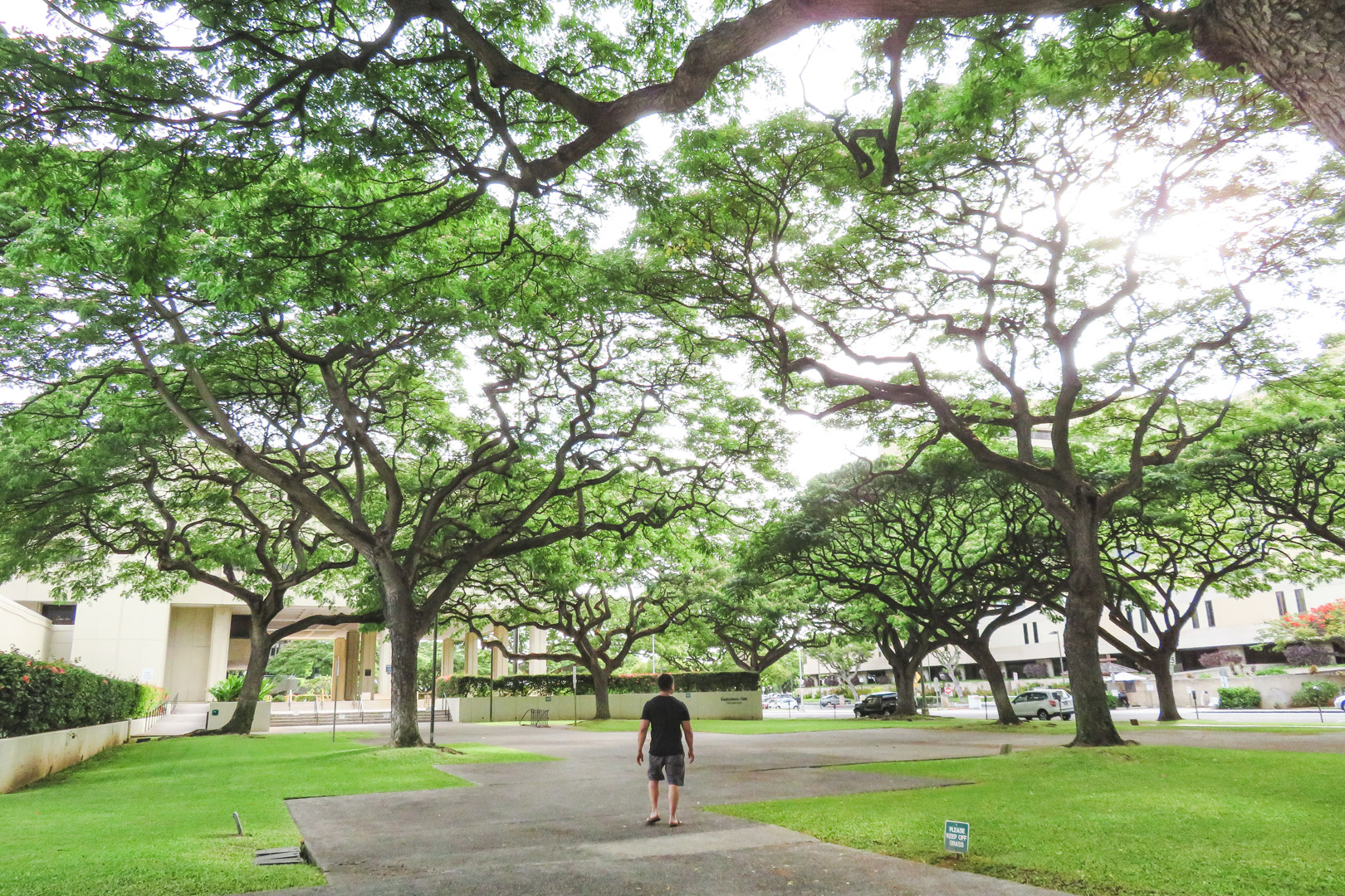 Oahu off the Beaten Path Downtown