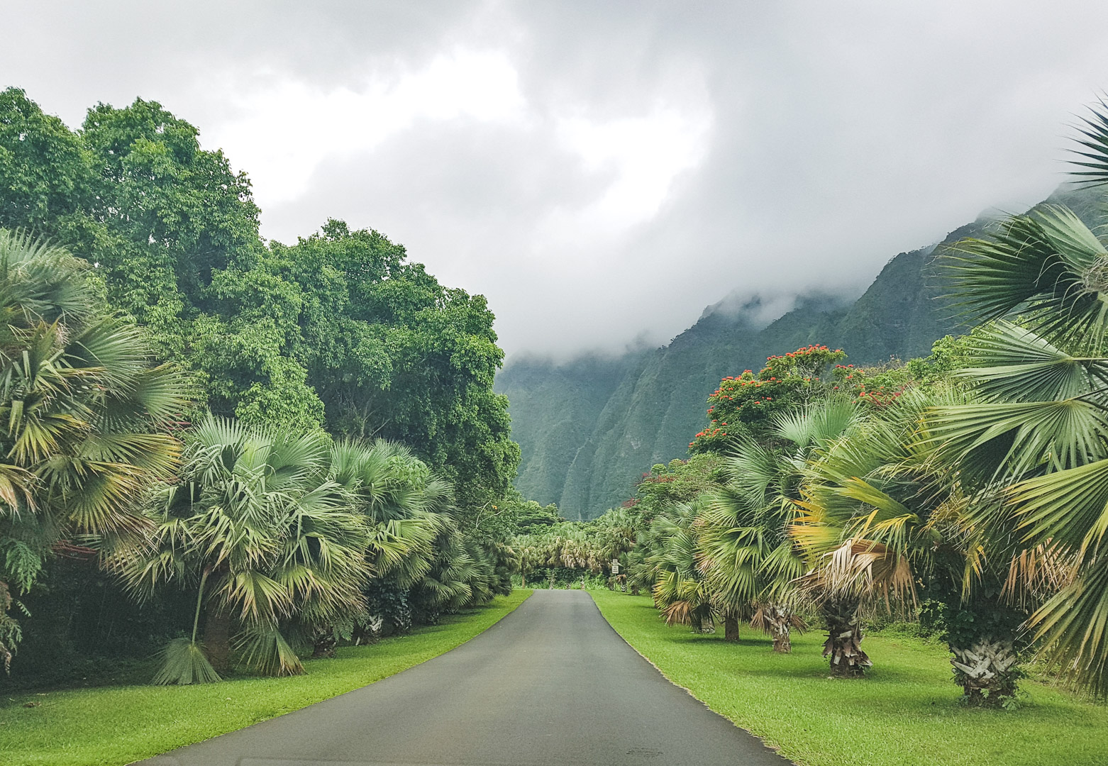 Oahu off the Beaten Path Hoomaluhia Entrance