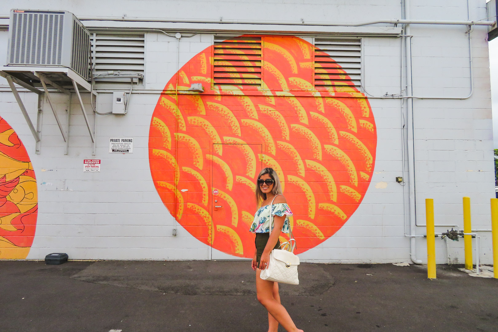 Oahu off the Beaten Path Kakaako Murals